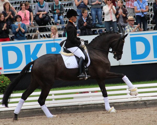 broodmare Soiree D' Amour OLD (Oldenburg, 2009, from San Amour I)