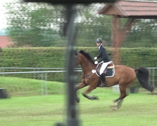 Reitturnier Moringen 2021