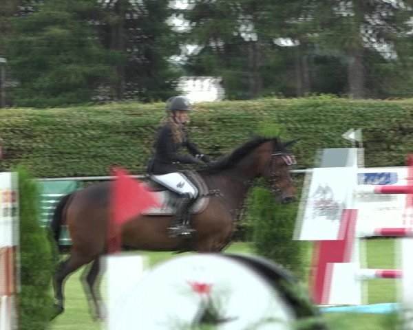 Reitturnier Moringen 2021