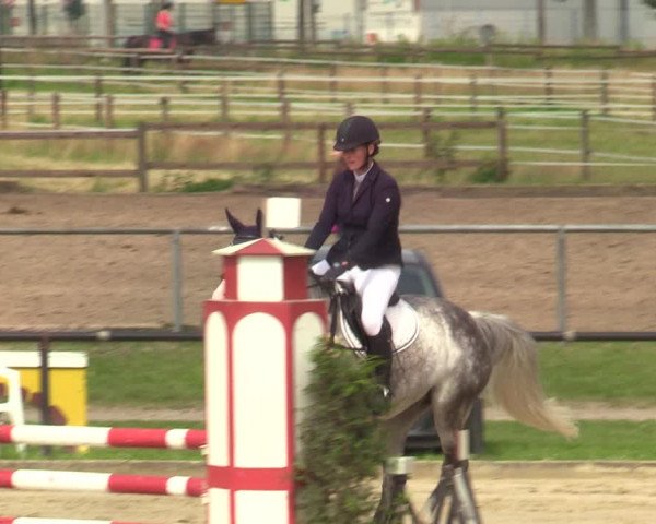 Reitturnier Hamm-Rhynern 2021