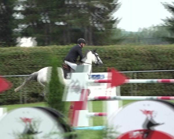 Reitturnier Moringen 2021
