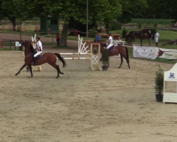Reitturnier Hamm-Rhynern 2021