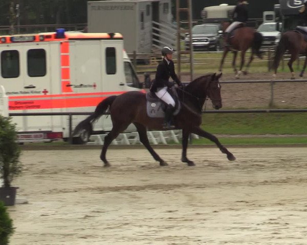 Reitturnier Hamm-Rhynern 2021