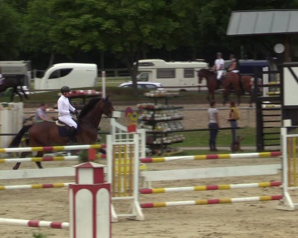 Reitturnier Hamm-Rhynern 2021