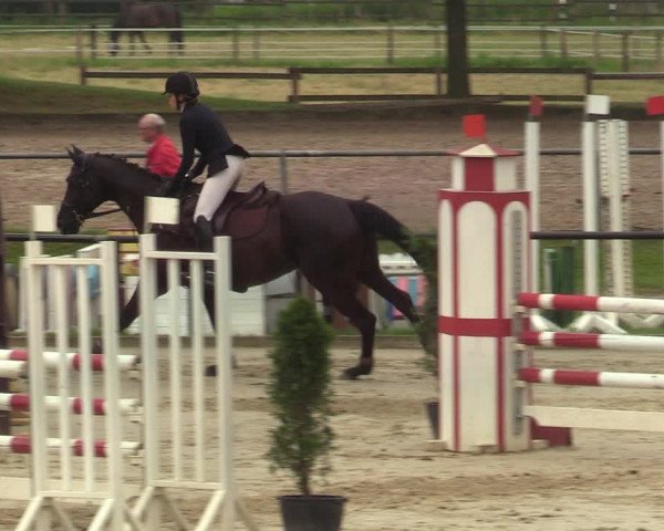 Reitturnier Hamm-Rhynern 2021