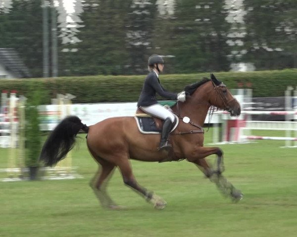 Reitturnier Moringen 2021