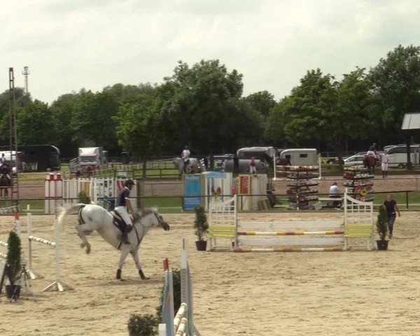 Reitturnier Hamm-Rhynern 2021