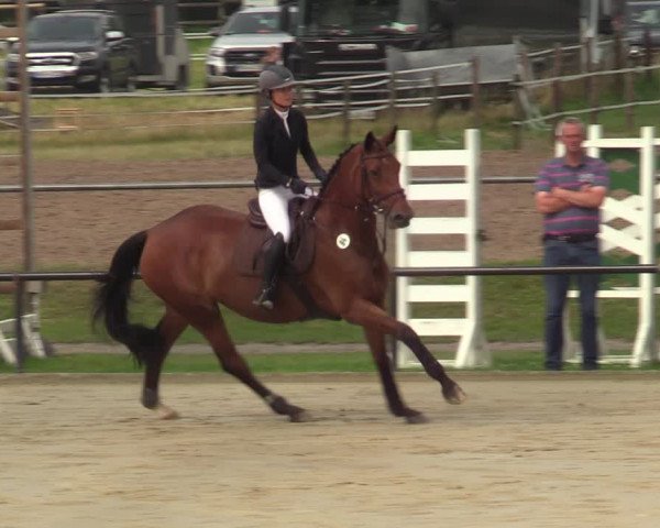 Reitturnier Hamm-Rhynern 2021