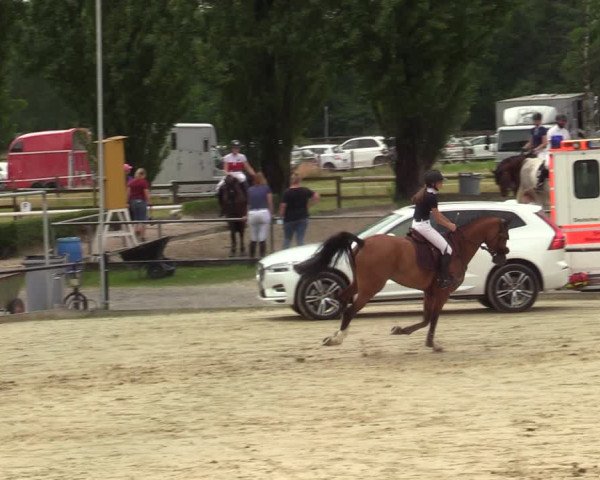 Reitturnier Hamm-Rhynern 2021