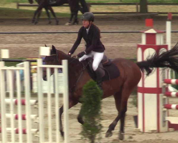Reitturnier Hamm-Rhynern 2021