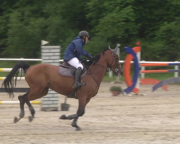 Reitturnier Hünfelden-Kirberg 2021