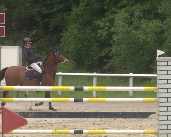 Reitturnier Hünfelden-Kirberg 2021
