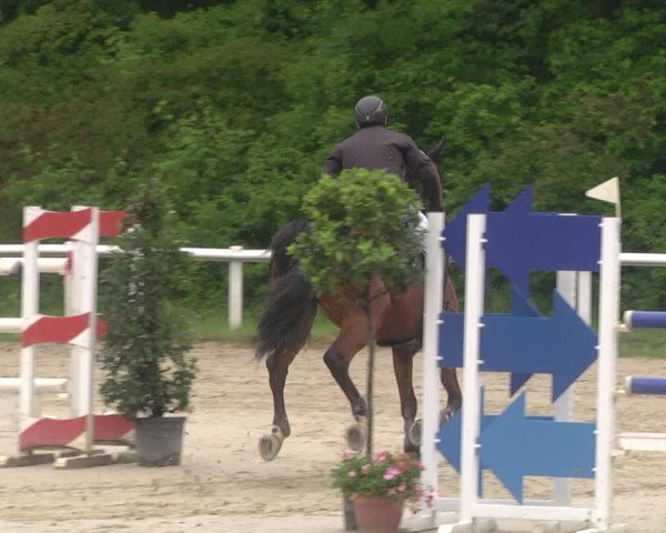 Reitturnier Hünfelden-Kirberg 2021