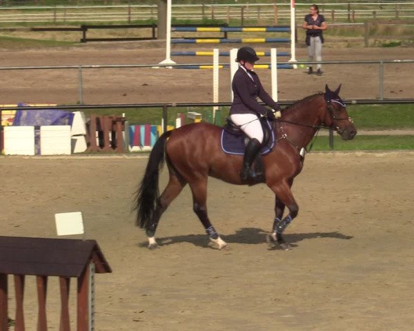Reitturnier Hamm-Rhynern 2021