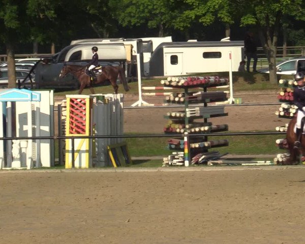 Reitturnier Hamm-Rhynern 2021