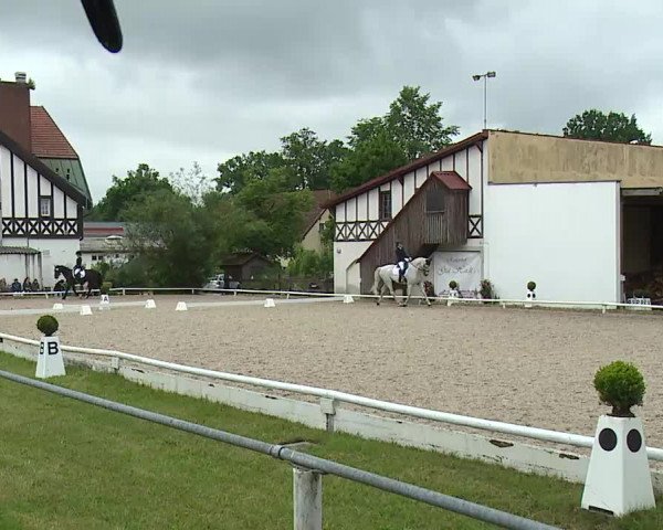 Reitturnier Hof-Haidt 2021
