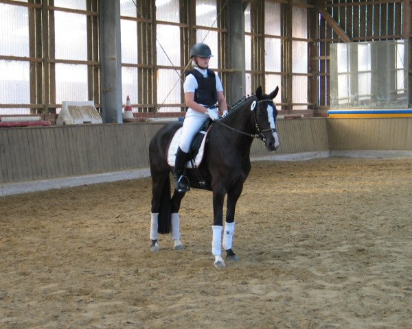 broodmare Grandess (German Riding Pony, 2009, from Genesis B)