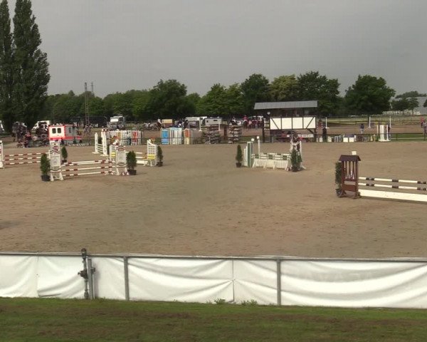 Reitturnier Hamm-Rhynern 2021