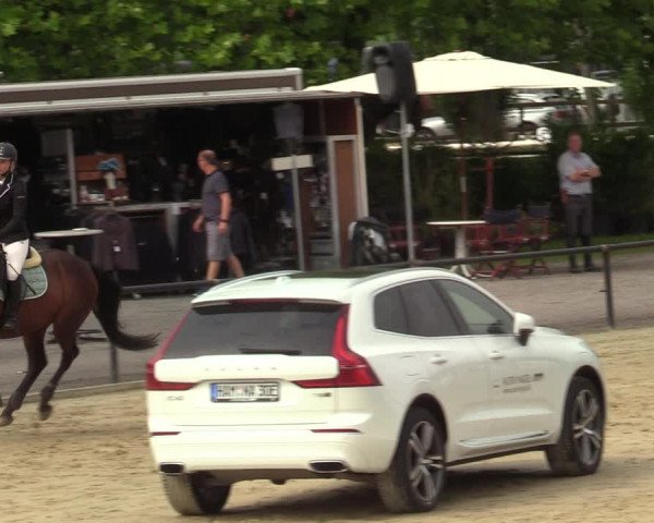 Reitturnier Hamm-Rhynern 2021