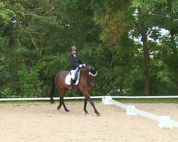 Reitturnier Hof-Haidt 2021