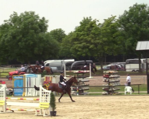 Reitturnier Hamm-Rhynern 2021