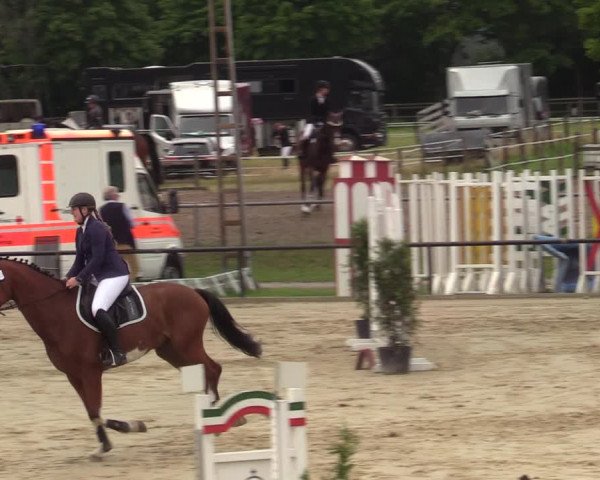 Reitturnier Hamm-Rhynern 2021