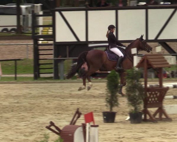 Reitturnier Hamm-Rhynern 2021