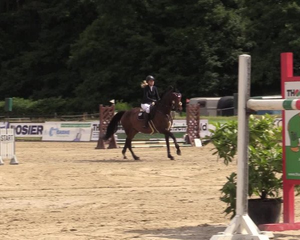Reitturnier Hemer-Oese an der Edelburg 2021