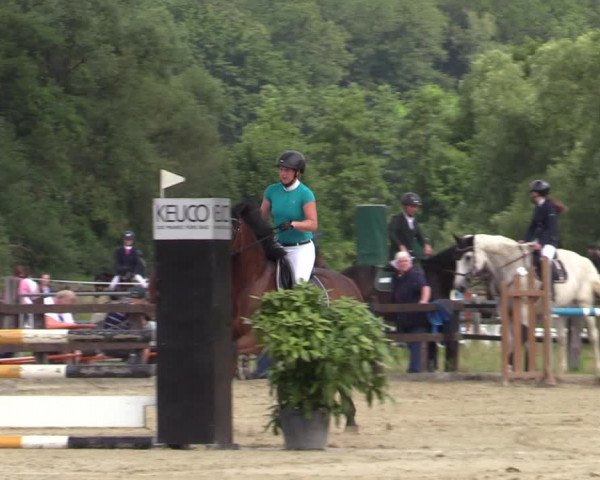 Reitturnier Hemer-Oese an der Edelburg 2021