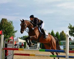 jumper Texas 122 (KWPN (Royal Dutch Sporthorse), 2007, from Tenerife)