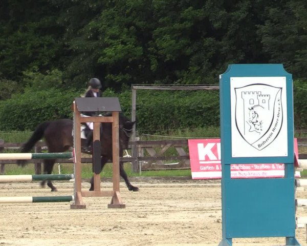 Reitturnier Hemer-Oese an der Edelburg 2021