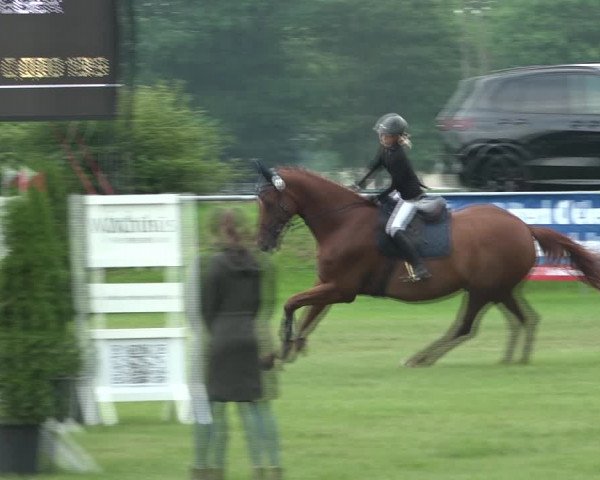 Reitturnier Moringen 2021