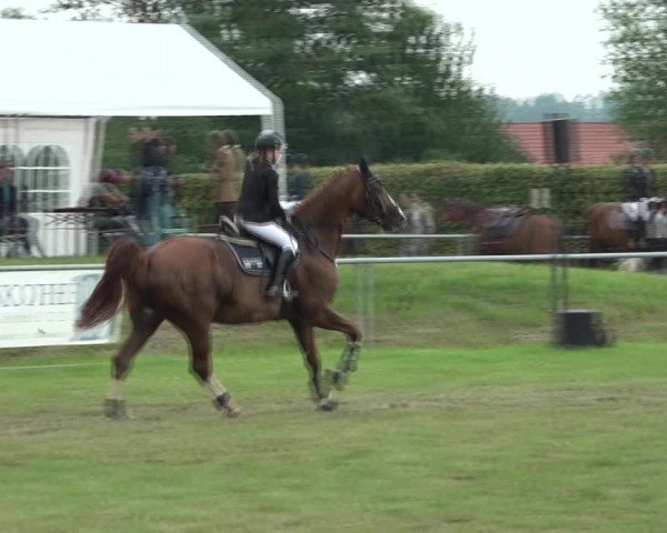 Reitturnier Moringen 2021
