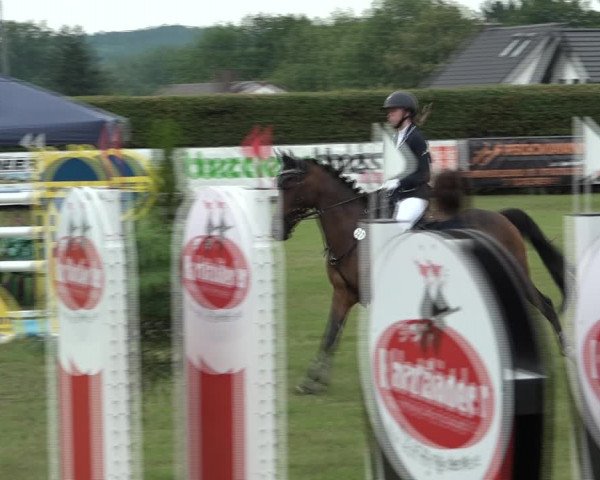Reitturnier Moringen 2021