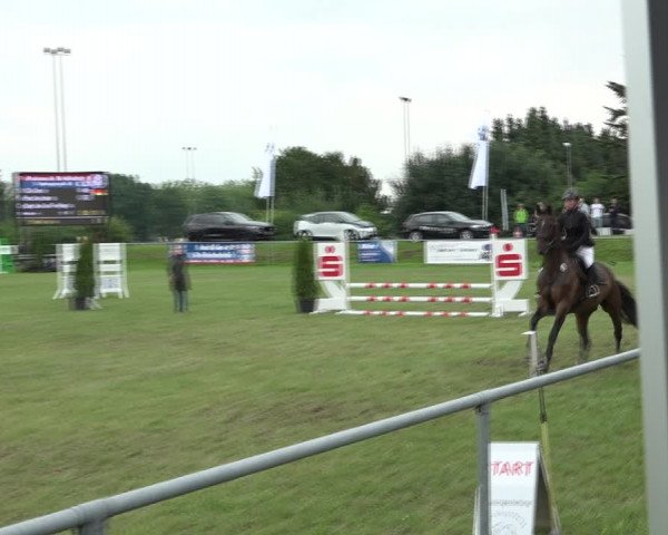 Reitturnier Moringen 2021