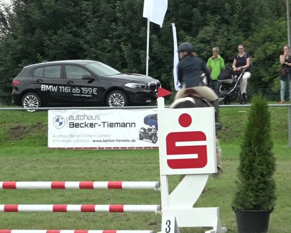 Reitturnier Moringen 2021