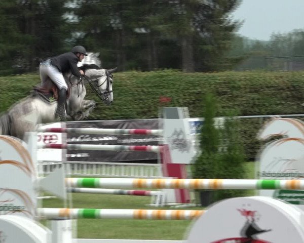 Reitturnier Moringen 2021