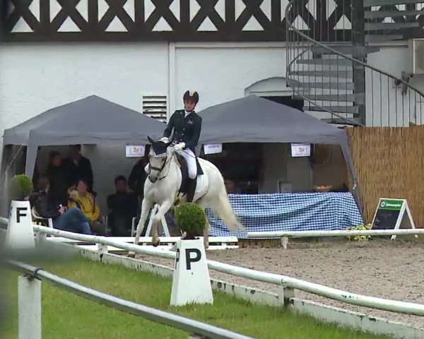 Reitturnier Hof-Haidt 2021