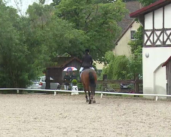 Reitturnier Hof-Haidt 2021