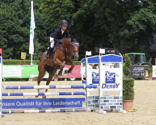 eventing horse Follow me 66 (Hanoverian, 2016, from For Pleasure)