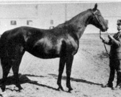 Broodmare Spinda 1866 (Hanoverian, 1918, from Schwabenstreich)