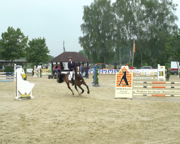 Reitturnier Münster-Roxel 2021
