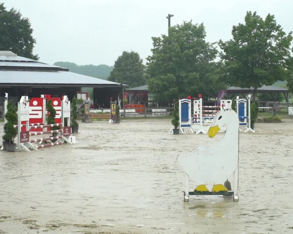 Reitturnier Münster-Roxel 2021