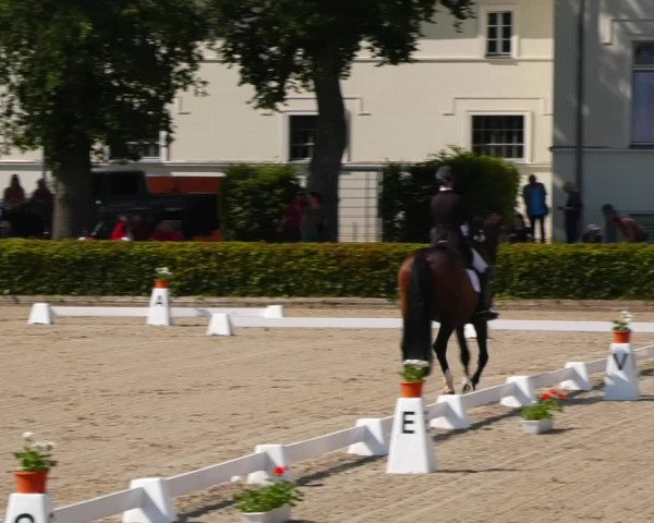Reitturnier Neustadt/Dosse 2021
