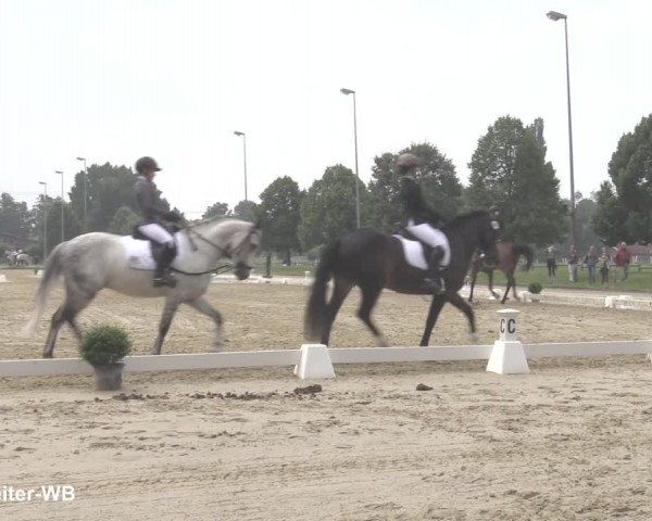 Reitturnier Münster-Roxel 2021