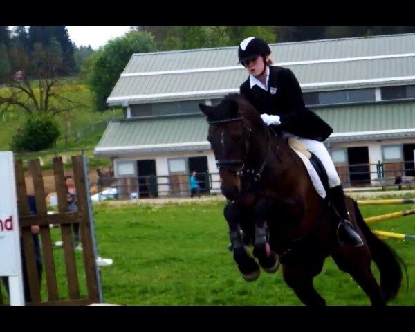 broodmare Grande Noblesse (Bavarian, 2000, from Carnando)