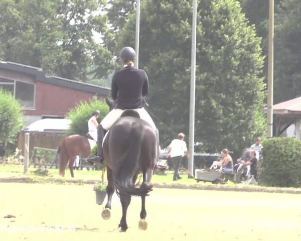 Reitturnier Münster-Roxel 2021