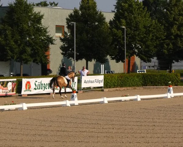 Reitturnier Neustadt/Dosse 2021