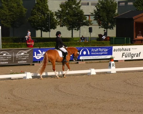 Reitturnier Neustadt/Dosse 2021