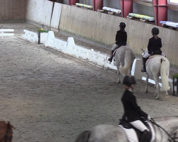 Reitturnier Süderlügum 2021